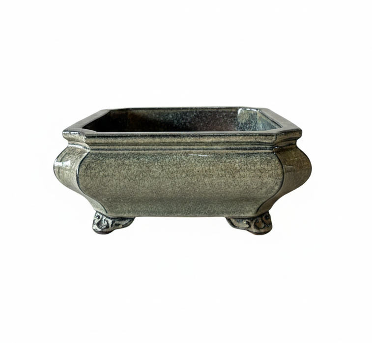 כדי בונסאי ומוצרים מהגן היפני